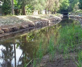 Oyster Creek Regeneration