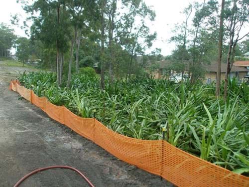 Holding nursery for relcaimed plants